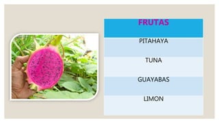 FRUTAS
PITAHAYA
TUNA
GUAYABAS
LIMON
 