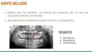 DIENTE INCLUIDO
● Diente que ha perdido la fuerza de erupción, por lo que se
encuentra dentro del maxilar
● Se diagnostica mediante examen clínico y radiográfico.
● Monitoreo
● Exodoncia.
● Ortodoncia.
Tratamiento
 