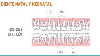 DIENTE NATAL Y NEONATAL
INCIDENCIA Y
LOCALIZACIÓN
85%
11%
3%
1%
 