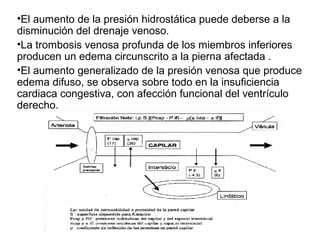 •El aumento de la presión hidrostática puede deberse a la
disminución del drenaje venoso.
•La trombosis venosa profunda de los miembros inferiores
producen un edema circunscrito a la pierna afectada .
•El aumento generalizado de la presión venosa que produce
edema difuso, se observa sobre todo en la insuficiencia
cardiaca congestiva, con afección funcional del ventrículo
derecho.
 