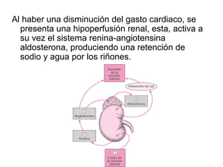 Al haber una disminución del gasto cardiaco, se
presenta una hipoperfusión renal, esta, activa a
su vez el sistema renina-angiotensina
aldosterona, produciendo una retención de
sodio y agua por los riñones.
 