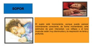El sujeto está inconsciente, aunque puede parecer
mínimamente consciente, de forma momentánea, ante
estímulos de gran intensidad. Los reflejos y el tono
muscular están muy disminuidos y la respiración es lenta y
profunda.
 