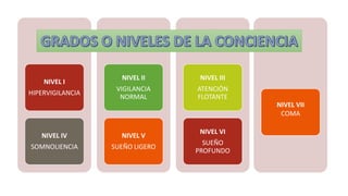 NIVEL I
HIPERVIGILANCIA
NIVEL IV
SOMNOLIENCIA
NIVEL II
VIGILANCIA
NORMAL
NIVEL V
SUEÑO LIGERO
NIVEL III
ATENCIÓN
FLOTANTE
NIVEL VI
SUEÑO
PROFUNDO
NIVEL VII
COMA
 