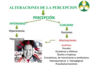 ALTERACIONES DE LA PERCEPCION
PERCEPCIÓN
INTENSIDAD
Hiperestesia
Hipoestesia
CUALIDAD
Ilusiones
Alucinaciones
Auditivas
Visuales
Gustativas y olfativas
Táctiles o hapticas
Cinestésicas, de movimiento o vestibulares
Hipnopompicas e hipnagógicas
Pseudoalucinaciones
 