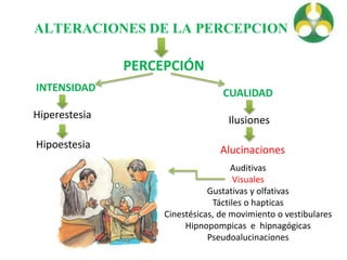 ALTERACIONES DE LA PERCEPCION
PERCEPCIÓN
INTENSIDAD
Hiperestesia
Hipoestesia
CUALIDAD
Ilusiones
Alucinaciones
Auditivas
Visuales
Gustativas y olfativas
Táctiles o hapticas
Cinestésicas, de movimiento o vestibulares
Hipnopompicas e hipnagógicas
Pseudoalucinaciones
 