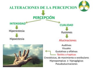 ALTERACIONES DE LA PERCEPCION
PERCEPCIÓN
INTENSIDAD
Hiperestesia
Hipoestesia
CUALIDAD
Ilusiones
Alucinaciones
Auditivas
Visuales
Gustativas y olfativas
Táctiles o hapticas
Cinestésicas, de movimiento o vestibulares
Hipnopompicas e hipnagógicas
Pseudoalucinaciones
 