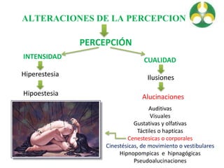 ALTERACIONES DE LA PERCEPCION
PERCEPCIÓN
INTENSIDAD
Hiperestesia
Hipoestesia
CUALIDAD
Ilusiones
Alucinaciones
Auditivas
Visuales
Gustativas y olfativas
Táctiles o hapticas
Cenestesicas o corporales
Cinestésicas, de movimiento o vestibulares
Hipnopompicas e hipnagógicas
Pseudoalucinaciones
 