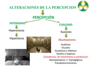 ALTERACIONES DE LA PERCEPCION
PERCEPCIÓN
INTENSIDAD
Hiperestesia
Hipoestesia
CUALIDAD
Ilusiones
Alucinaciones
Auditivas
Visuales
Gustativas y olfativas
Táctiles o hapticas
Cinestésicas, de movimiento o vestibulares
Hipnopompicas e hipnagógicas
Pseudoalucinaciones
 