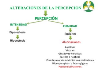 ALTERACIONES DE LA PERCEPCION
PERCEPCIÓN
INTENSIDAD
Biperestesia
Bipoestesia
CUALIDAD
Ilusiones
Alucinaciones
Auditivas
Visuales
Gustativas y olfativas
Táctiles o hapticas
Cinestésicas, de movimiento o vestibulares
Hipnopompicas e hipnagógicas
Pseudoalucinaciones
 