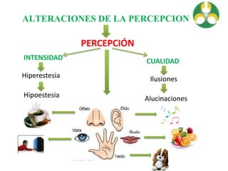 ALTERACIONES DE LA PERCEPCION
PERCEPCIÓN
INTENSIDAD
Hiperestesia
Hipoestesia
CUALIDAD
Ilusiones
Alucinaciones
 