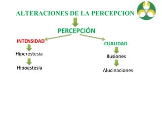 ALTERACIONES DE LA PERCEPCION
PERCEPCIÓN
INTENSIDAD
Hiperestesia
Hipoestesia
CUALIDAD
Ilusiones
Alucinaciones
 