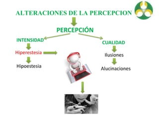 ALTERACIONES DE LA PERCEPCION
PERCEPCIÓN
INTENSIDAD
Hiperestesia
Hipoestesia
CUALIDAD
Ilusiones
Alucinaciones
 