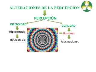 ALTERACIONES DE LA PERCEPCION
PERCEPCIÓN
INTENSIDAD
Hiperestesia
Hipoestesia
CUALIDAD
Ilusiones
Alucinaciones
 