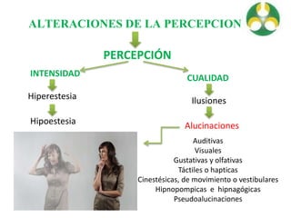 ALTERACIONES DE LA PERCEPCION
PERCEPCIÓN
INTENSIDAD
Hiperestesia
Hipoestesia
CUALIDAD
Ilusiones
Alucinaciones
Auditivas
Visuales
Gustativas y olfativas
Táctiles o hapticas
Cinestésicas, de movimiento o vestibulares
Hipnopompicas e hipnagógicas
Pseudoalucinaciones
 