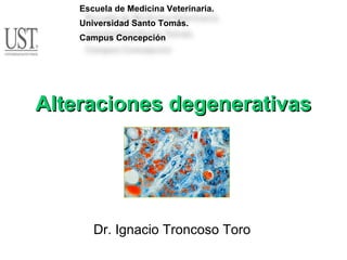 Dr. Ignacio Troncoso Toro Alteraciones degenerativas Escuela de Medicina Veterinaria. Universidad Santo Tomás. Campus Concepción 