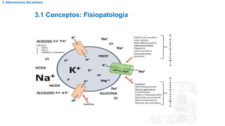 3.1 Conceptos: Fisiopatología
3. Alteraciones del potasio
 