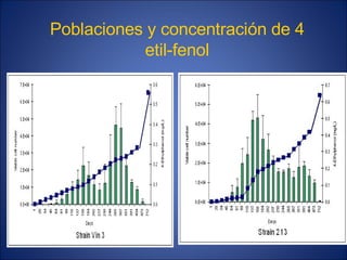 Poblaciones y concentración de 4
etil-fenol
 
