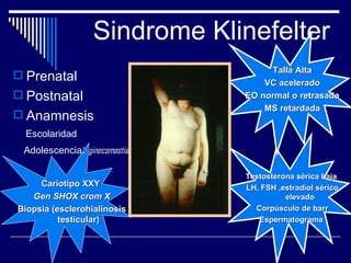 Sindrome Klinefelter Prenatal Postnatal Anamnesis Escolaridad  Adolescencia :  ginecomastia Cariotipo XXY  Gen SHOX crom X Biopsia (esclerohialinosis testicular) Talla Alta VC acelerado EO normal o retrasada MS retardada Testosterona sérica baja  LH, FSH ,estradiol sérico elevado  Corpúsculo de barr Espermatograma  