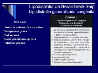 Lipodistrofia de Berardinelli-Seip Lipodistrofia generalizada congénita Herencia autosómica recesiva Desaparece grasa Red venosa  Cierre prematuro epífisis Pubertad precoz 1954 Brasil 
