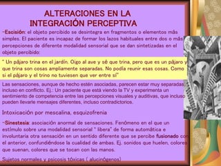 ALTERACIONES EN LA
INTEGRACIÓN PERCEPTIVA
-Escisión: el objeto percibido se desintegra en fragmentos o elementos más
simples. El paciente es incapaz de formar los lazos habituales entre dos o más
percepciones de diferente modalidad sensorial que se dan sintetizadas en el
objeto percibido:
“ Un pájaro trina en el jardín. Oigo al ave y sé que trina, pero que es un pájaro y
que trina son cosas ampliamente separadas. No podía reunir esas cosas. Como
si el pájaro y el trino no tuviesen que ver entre sí”
Las sensaciones, aunque de hecho estén asociadas, parecen estar muy separadas,
incluso en conflicto. Ej.: Un paciente que está viendo la TV y experimenta un
sentimiento de competencia entre las percepciones visuales y auditivas, que incluso
pueden llevarle mensajes diferentes, incluso contradictorios.
Intoxicación por mescalina, esquizofrenia
-Sinestesia: asociación anormal de sensaciones. Fenómeno en el que un
estímulo sobre una modalidad sensorial “ libera” de forma automática e
involuntaria otra sensación en un sentido diferente que se percibe fusionado con
el anterior, confundiéndose la cualidad de ambas. Ej. sonidos que huelen, colores
que suenan, colores que se tocan con las manos.
Sujetos normales y psicosis tóxicas ( alucinógenos)
 