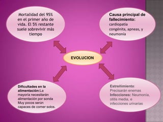 Mortalidad del 95%                   Causa principal de
en el primer año de                   fallecimiento:
vida. El 5% restante                  cardiopatía
suele sobrevivir más                  congénita, apneas, y
       tiempo                         neumonía




                          EVOLUCION




Dificultades en la                    Estreñimiento:
alimentación:La                       Precisarán enemas
mayoría necesitarán                   Infecciones: Neumonía,
alimentación por sonda                otitis media, e
Muy pocos serán                       infecciones urinarias
capaces de comer solos.
 