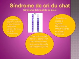 •Prevalencia
•El origen del
síndrome se halla                            1/2000 a
en una deleción                              1/50000
de tamaño                                    Nacimientos
variable del brazo                           •Mas frecuente
corto del                                    en el sexo
cromosoma 5.                                 femenino
                     •El nacimiento suele
                     llamar la atención el
                     tamaño del cráneo,
                     que contrasta con la
                     cara redonda y llena
 