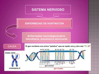 SISTEMA NERVIOSO



        ENFERMEDAD DE HUNTINGTON




         -Enfermedad neurodegenerativa
        -Hereditaria, autosómica dominante


CAUSA
 