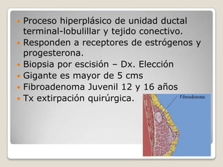    Proceso hiperplásico de unidad ductal
    terminal-lobulillar y tejido conectivo.
   Responden a receptores de estrógenos y
    progesterona.
   Biopsia por escisión – Dx. Elección
   Gigante es mayor de 5 cms
   Fibroadenoma Juvenil 12 y 16 años
   Tx extirpación quirúrgica.
 