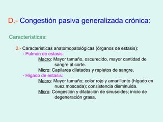 D.- Congestión pasiva generalizada crónica:

Características:

  2.- Características anatomopatológicas (órganos de estasis):
      - Pulmón de estasis:
             Macro: Mayor tamaño, oscurecido, mayor cantidad de
                      sangre al corte.
             Micro: Capilares dilatados y repletos de sangre.
      - Hígado de estasis:
             Macro: Mayor tamaño; color rojo y amarillento (hígado en
                      nuez moscada); consistencia disminuida.
             Micro: Congestión y dilatación de sinusoides; inicio de
                      degeneración grasa.
 