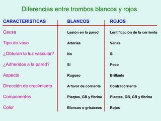 Diferencias entre trombos blancos y rojos
CARACTERÍSTICAS             BLANCOS                 ROJOS

Causa                       Lesión en la pared      Lentificación de la corriente


Tipo de vaso                Arterias                Venas


¿Obturan la luz vascular?   No                      Si


¿Adheridos a la pared?      Si                      Poco


Aspecto                     Rugoso                  Brillante


Dirección de crecimiento    A favor de corriente    Contracorriente


Componentes                 Plaqtas, GB y fibrina   Plaqtas, GB, GR y fibrina


Color                       Blancos o grisáceos     Rojos
 