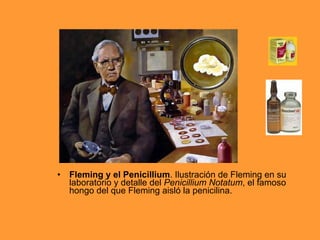 Fleming y el Penicillium . Ilustración de Fleming en su laboratorio y detalle del  Penicillium Notatum , el famoso hongo del que Fleming aisló la penicilina.    