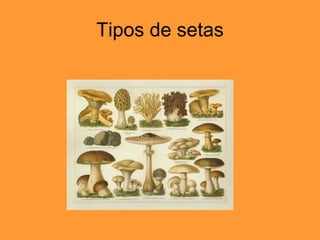 Tipos de setas 