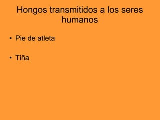 Hongos transmitidos a los seres humanos Pie de atleta Tiña 
