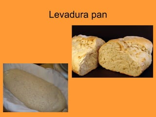 Levadura pan 