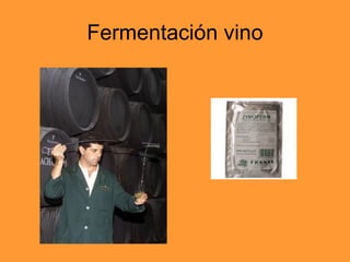 Fermentación vino 