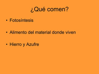 ¿Qué comen? Fotosíntesis Alimento del material donde viven Hierro y Azufre 