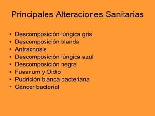 Principales Alteraciones Sanitarias Descomposición fúngica gris Descomposición blanda Antracnosis Descomposición fúngica azul Descomposición negra Fusarium y Oidio Pudrición blanca bacteriana Cáncer bacterial 