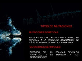 TIPOS DE MUTACIONESMUTACIONES SOMÁTICAS:SUCEDEN EN LAS CÉLULAS DEL CUERPO, SE HEREDAN A LA SIGUIENTE GENERACIÓN DE CÉLULAS PERO NO A SUS DESCENDIENTES.MUTACIONES GERMINALES:SUCEDEN EN LAS CÉLULAS SEXUALES (GAMETOS), Y SE HEREDAN A SUS DESCENDIENTES