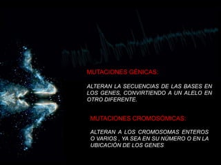 MUTACIONES GÉNICAS:ALTERAN LA SECUENCIAS DE LAS BASES EN LOS GENES, CONVIRTIENDO A UN ALELO EN OTRO DIFERENTE.MUTACIONES CROMOSÓMICAS:ALTERAN A LOS CROMOSOMAS ENTEROS O VARIOS , YA SEA EN SU NÚMERO O EN LA UBICACIÓN DE LOS GENES