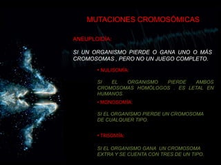 MUTACIONES CROMOSÓMICASANEUPLOIDÍA:SI UN ORGANISMO PIERDE O GANA UNO O MÁS CROMOSOMAS , PERO NO UN JUEGO COMPLETO.NULISOMÍA:SI EL ORGANISMO PIERDE AMBOS CROMOSOMAS HOMÓLOGOS . ES LETAL EN HUMANOS. MONOSOMÍA:SI EL ORGANISMO PIERDE UN CROMOSOMA DE CUALQUIER TIPO. TRISOMÍA:SI EL ORGANISMO GANA  UN CROMOSOMA EXTRA Y SE CUENTA CON TRES DE UN TIPO.