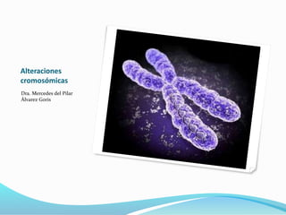Alteraciones
cromosómicas
Dra. Mercedes del Pilar
Álvarez Goris
 