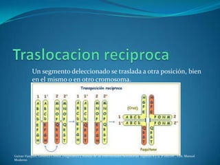 Un segmento deleccionado se traslada a otra posición, bien
            en el mismo o en otro cromosoma.




Guizar-Vazquez, Genética Clínica ,Diagnostico y manejo de las enfermedades hereditarias capitulo 8 y 9, 3ª edición , Edit. Manual
Moderno
 