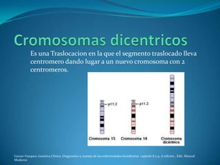 Es una Traslocacion en la que el segmento traslocado lleva
           centromero dando lugar a un nuevo cromosoma con 2
           centromeros.




Guizar-Vazquez, Genética Clínica ,Diagnostico y manejo de las enfermedades hereditarias capitulo 8 y 9, 3ª edición , Edit. Manual
Moderno
 
