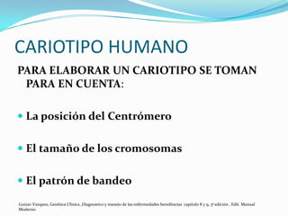 CARIOTIPO HUMANO
PARA ELABORAR UN CARIOTIPO SE TOMAN
 PARA EN CUENTA:

 La posición del Centrómero


 El tamaño de los cromosomas


 El patrón de bandeo

Guizar-Vazquez, Genética Clínica ,Diagnostico y manejo de las enfermedades hereditarias capitulo 8 y 9, 3ª edición , Edit. Manual
Moderno
 