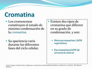 Cromatina
 Los cromosomas                                                        Existen dos tipos de
   constituyen el estado de                                                 cromatina que difieren
   máxima condensación de                                                   en su grado de
   la cromatina.                                                            condensación, y son:

 Su apariencia varía                                                          Heterocromatina (ADN
                                                                                  repetitivo)
   durante las diferentes
   fases del ciclo celular.                                                    Eucromatina(ADN de
                                                                                  secuencia única)



Guizar-Vazquez, Genética Clínica ,Diagnostico y manejo de las enfermedades hereditarias capitulo 8 y 9, 3ª edición , Edit. Manual
Moderno
 