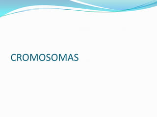 CROMOSOMAS
 
