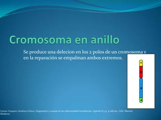 Son alteraciones que afectan al ordenamiento interno de
    cromosomas no sexuales. Entre las anomalías más comunes con
  ...