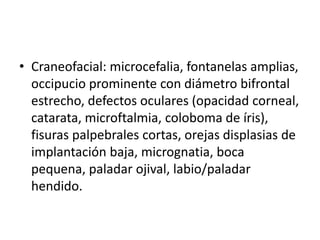 • Craneofacial: microcefalia, fontanelas amplias,
occipucio prominente con diámetro bifrontal
estrecho, defectos oculares (opacidad corneal,
catarata, microftalmia, coloboma de íris),
fisuras palpebrales cortas, orejas displasias de
implantación baja, micrognatia, boca
pequena, paladar ojival, labio/paladar
hendido.
 