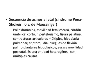 • Secuencia de acinesia fetal (síndrome Pena-
Shokeir I o s. de Moessinger)
– Polihidramnios, movilidad fetal escasa, cordón
umbilical corto, hipertelorismo, fisura palatina,
contracturas articulares múltiples, hipoplasia
pulmonar, criptorquidia, pliegues de flexión
palmo-plantares hipoplasicos, escasa movilidad
posnatal. Es una entidad heterogénea, con
múltiples causas.
 