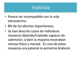 Triploidía
• Parece ser incompatible con la vida
extrauterina.
• 8% de los abortos espontaneos.
• Se han descrito casos de individuos
mosaicos diploide/triploide capaces de
sobrevivir, si bien la mayoria mostraban
retraso fisico y mental. En uno de estos
mosaicos era patente la asimetria bilateral.
 